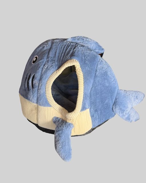 Product photo 2