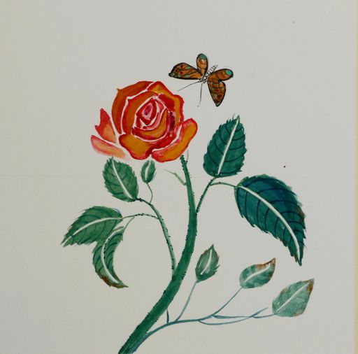 Product photo 0